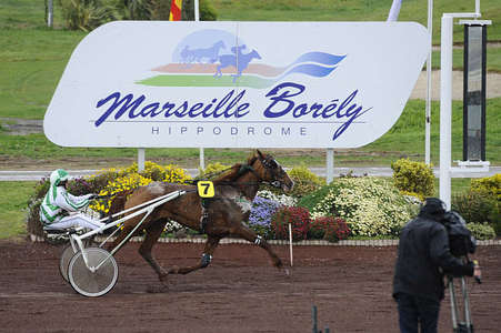 Actualités Hippiques